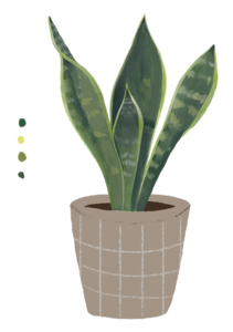 手绘 植物 配颜色 灰色系 插画 免扣
