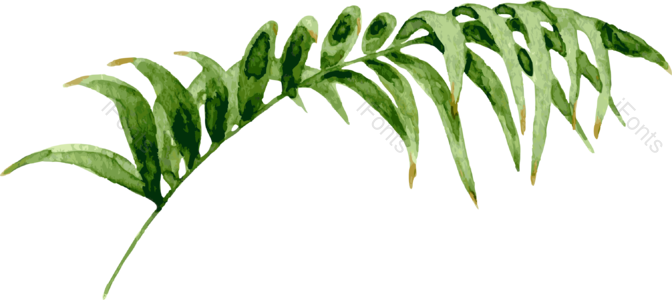 手绘 绿色植物 水彩 风格 装饰 免扣素材