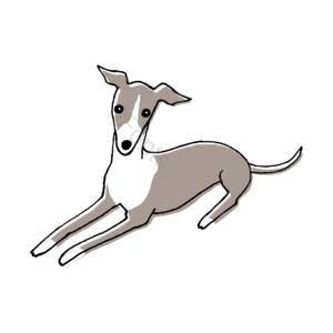 可爱 卡通 插图 狗 dog 犬 免扣 