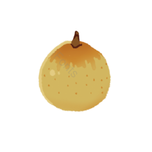 水果 切片 fruit 实物 免扣 梨