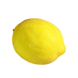 水果 实物 实拍 摄影 照片 免抠 png 素材