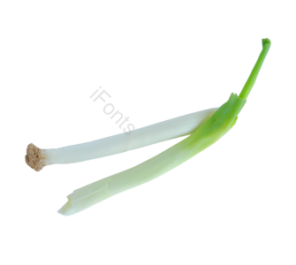 葱 大葱 蔬菜 菜 绿菜 有机蔬菜