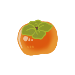 水果 切片 fruit 实物 免扣 柿子