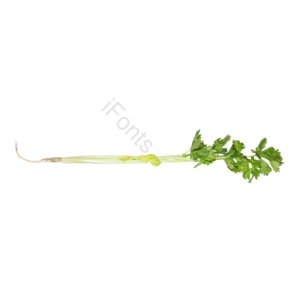 蔬菜 免抠 实物 png 素材 摄影 照片 实物