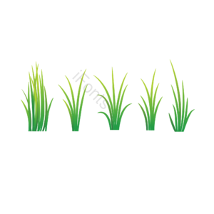 绿色 环保 麦苗 水稻 植物 农作物