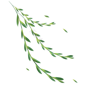 手绘 植物 绿叶 叶子 免抠素材 卡通 绿色 春季