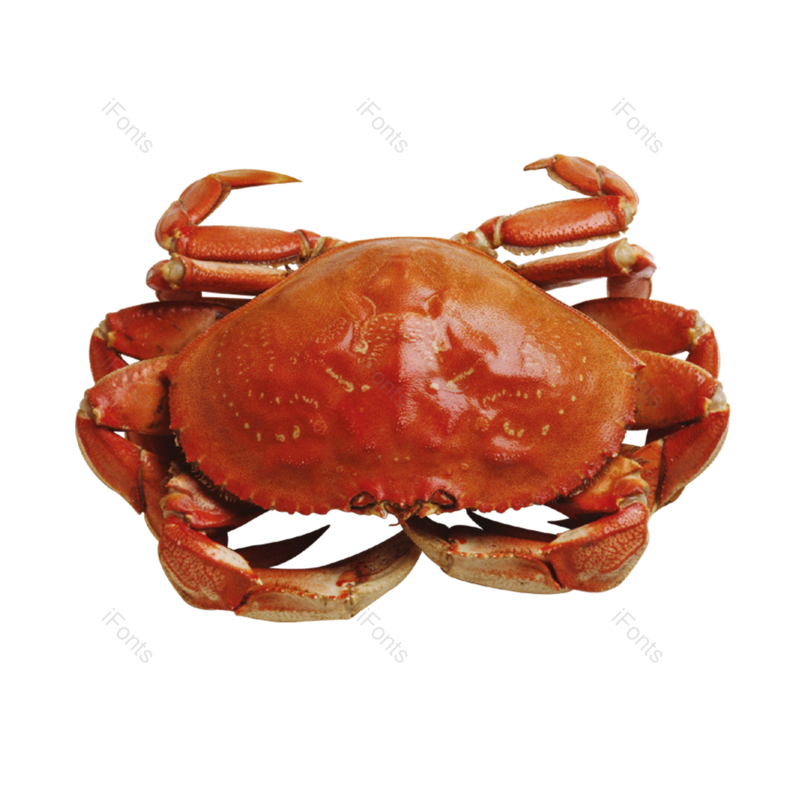 海鲜图片,食物元素,PNG,免抠素材