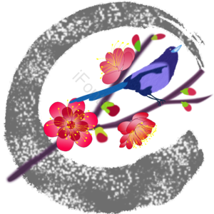 春天 喜鹊 枝头 啼叫 美好寓意 鸟 红花 粉红花瓣