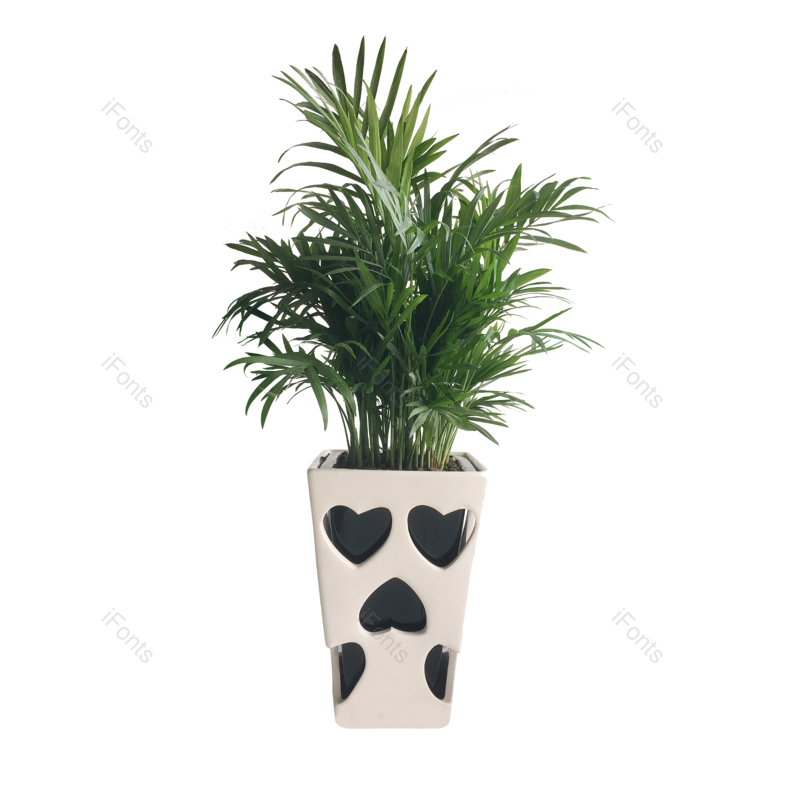 装饰图片,花盆元素,景观PNG,绿植免抠素材