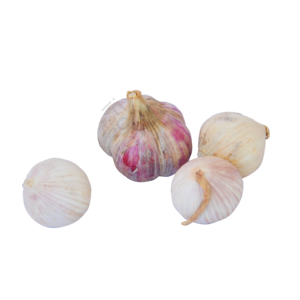 大蒜 蒜 蒜头 蔬菜 有机蔬菜 绿色蔬菜