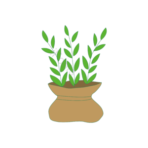 可爱 小清新 植物 扁平 仙人掌 免扣元素
