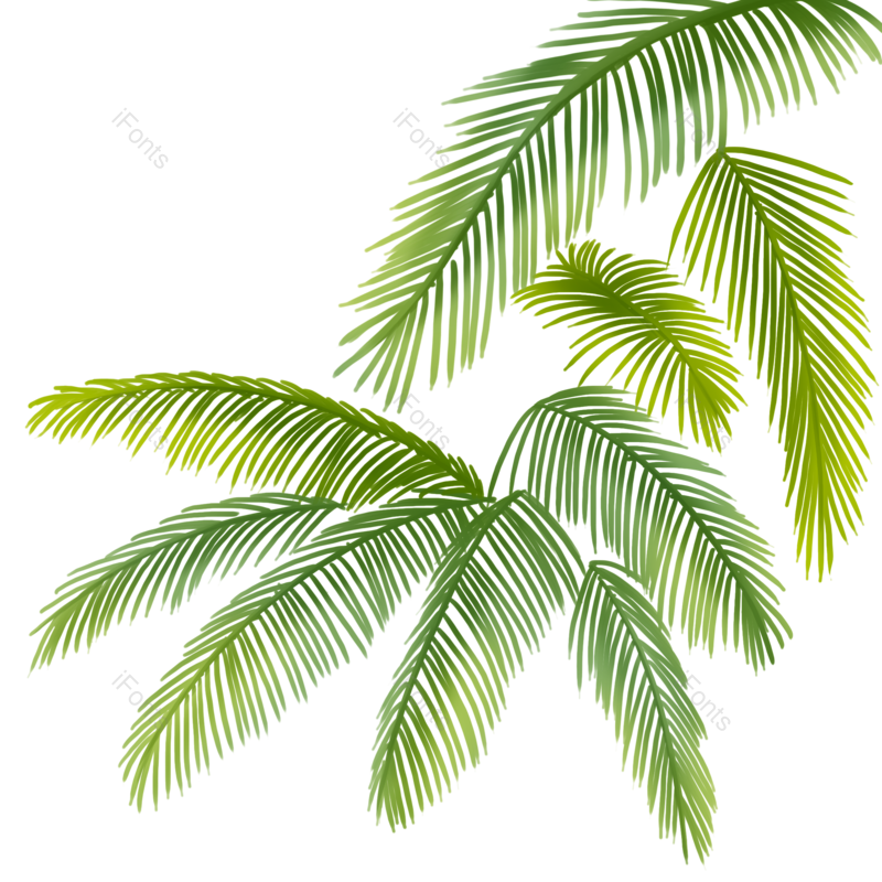 叶子图片,夏天元素,绿色PNG,植物免抠素材