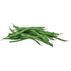 豆角 蔬菜 菜 有机蔬菜 营养蔬菜 有机