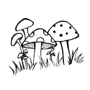 蘑菇 植物 菌类 插画 手绘 卡通 黑白线条