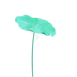 清新 手绘风 绿色 唯美 荷叶 水珠