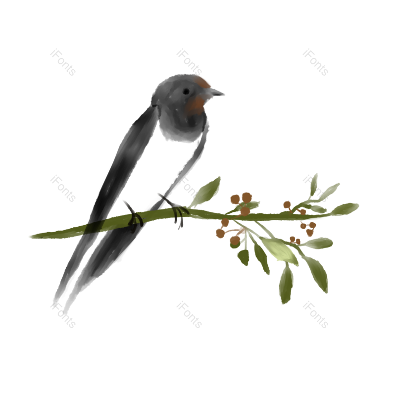 装饰图片,插画元素,素材PNG,简约免抠素材