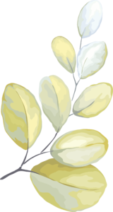 浅色系 插画风格 ins 小清新 植物 节日素材