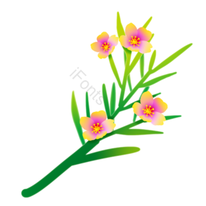 一枝花 春色 花朵 春季