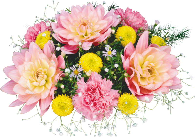 鲜花图片,春天元素,花束PNG,植物免抠素材