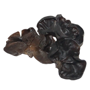 蔬菜 免抠 png 摄影 实物 实拍 摄影 照片