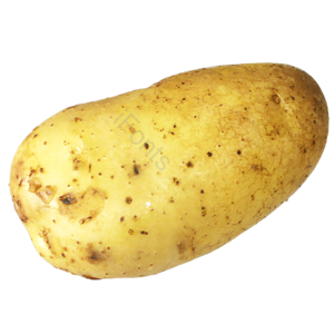 土豆 马铃薯 蔬菜 实物 免抠 png 素材 健康