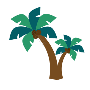 绿色 水果 植物 大树 椰子 沙滩 树 海滩