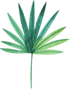 小清新 绿色植物 手绘 插画 节日素材 免扣