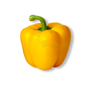 橙黄色 蔬菜 菜椒 太空椒 植物 灯笼椒