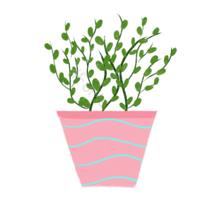 绿植 盆栽 绿色 花卉 插画 psd