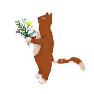 猫 可通 动物 植物 花 黄猫 插画 png免抠