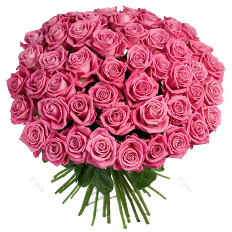 鲜花图片,春天元素,花束PNG,植物免抠素材
