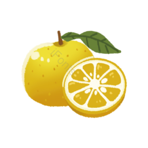 水果 切片 fruit 实物 免扣 无花果