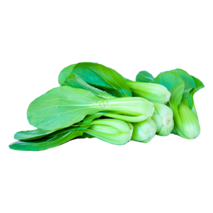 蔬菜 时蔬 健康 有机 食物 小油菜 健康