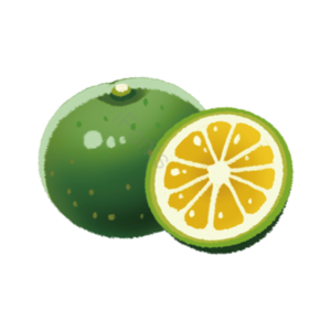 水果 切片 fruit 实物 免扣 无花果