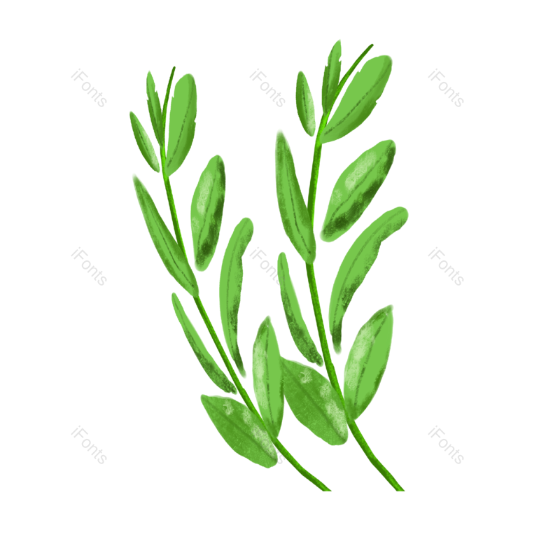 叶子图片,绿叶元素,小草PNG,免抠素材