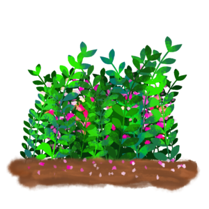 草丛 花瓣 手绘 土地 立夏 节日元素