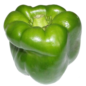 蔬菜 免抠 实物 png 素材 摄影 照片 实物