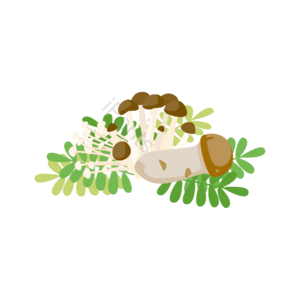 春天 绿色 树叶 蘑菇 可爱 插画 春季