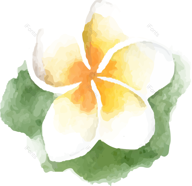 装饰图片,花朵元素,春季PNG,春天免抠素材