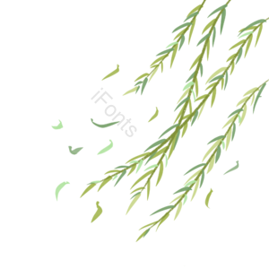 清明节 清明 手绘 飘零 漂浮 柳叶 柳树 绿色