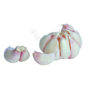 蒜 大蒜 蔬菜 绿色蔬菜 健康蔬菜 菜