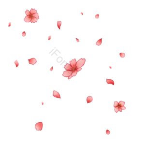 原创 手绘 漂浮 花瓣 梅花 装饰 花卉 植物