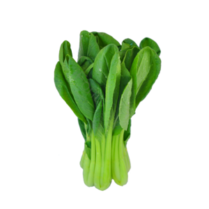 上海青 青菜 蔬菜 菜 有机 健康 健康