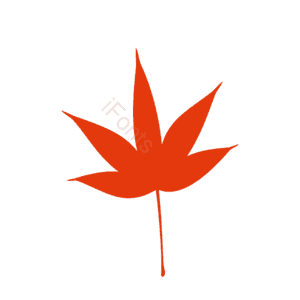 秋天 金色 黄色 飘落 悬浮 树叶 免扣素材