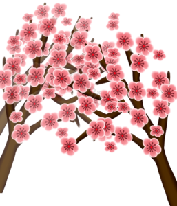桃花 插画 背景 粉色 可爱 手绘