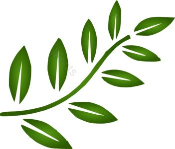 绿色 植物 枝条 平面 效果图 素材