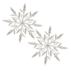 八角 雪花 透明 冰晶体 素材 冬天