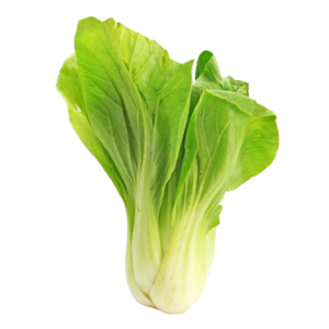 维生素 青色 蔬菜 青菜 植物 绿色 健康 健康