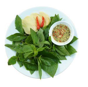 蔬菜 薄荷 拼盘 面饼 瓷器 碟子