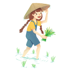 雨水 女孩 插秧